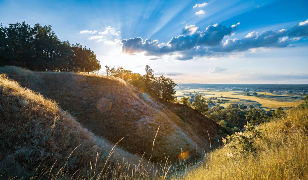 Teraz I Ty Też Możesz zanocować Nawet Jeśli Nie Masz O Tym Zielonego Pojęcia