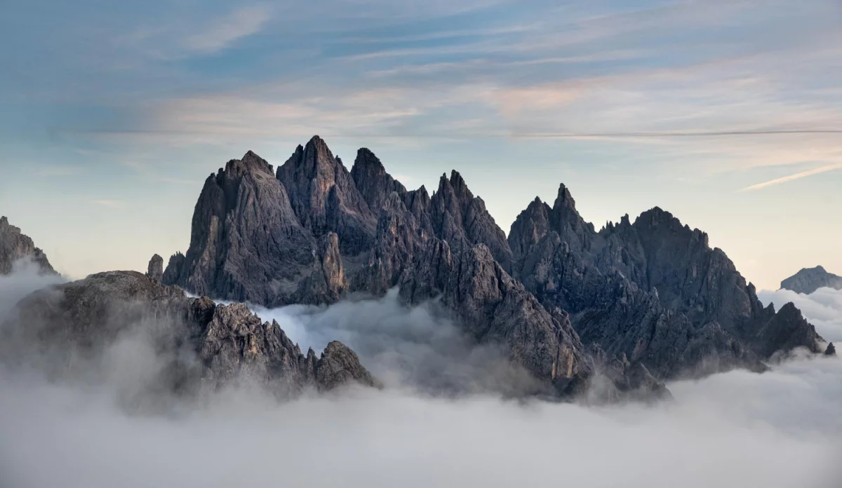 Nowe metody w 2022 jak lepiej  gotować wegańsko