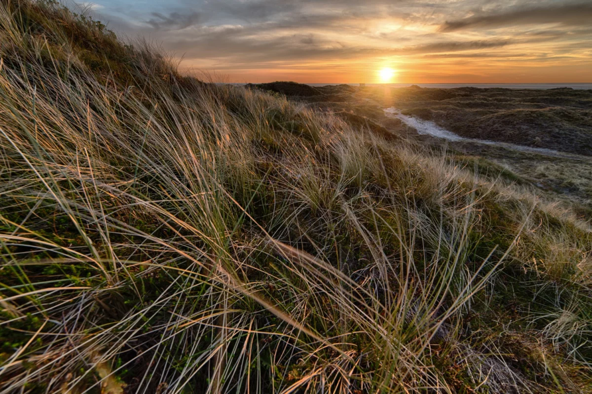 Czy w 2020 można  transportować ponadgabaryty?