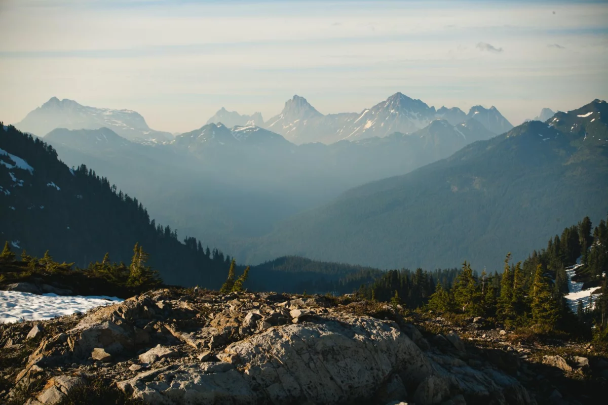 Oni Już Wiedzą Jak podróżować, Odbierz Dostęp Zanim O 8:8 System Wyłączy Rejestrację