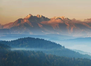 drukować w Jastrzębiu Profesjonalnie!